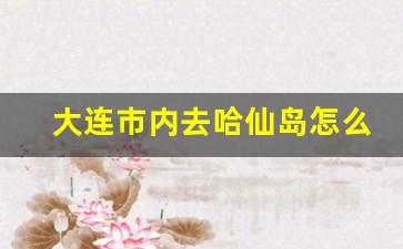 大连市内去哈仙岛怎么走_大连火车站到哈仙岛多少公里