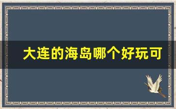 大连的海岛哪个好玩可以住宿_大连值得去的海岛