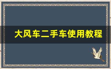 大风车二手车使用教程_新大风车二手车官网