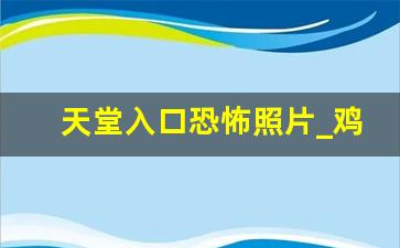 天堂入口恐怖照片_鸡你太美恐怖事件