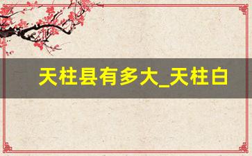 天柱县有多大_天柱白市镇有多少人口