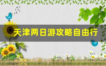 天津两日游攻略自由行_天津附近自驾游2日游