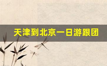 天津到北京一日游跟团_天津到北京二日游跟团