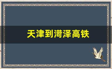 天津到渮泽高铁