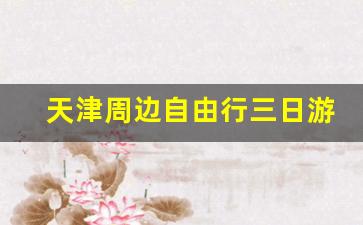 天津周边自由行三日游攻略_天津自由行3日游攻略