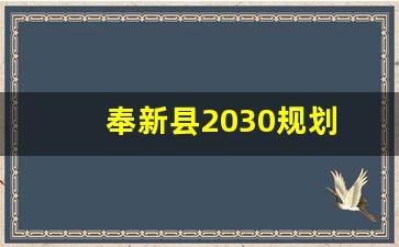 奉新县2030规划