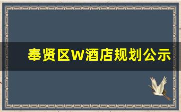 奉贤区W酒店规划公示