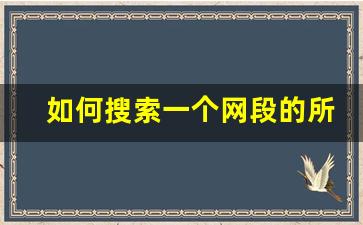 如何搜索一个网段的所有设备IP