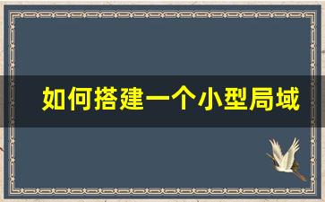 如何搭建一个小型局域网