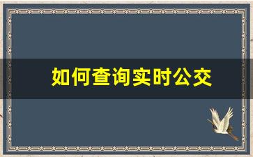 如何查询实时公交