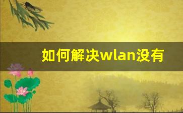 如何解决wlan没有有效的ip配置