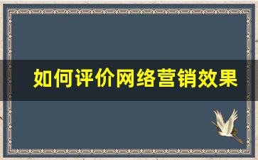 如何评价网络营销效果_网络营销效果的评估体系