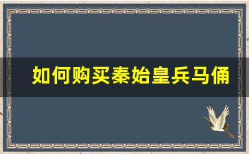 如何购买秦始皇兵马俑门票_兵马俑现场买票