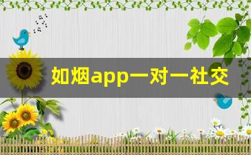 如烟app一对一社交怎么样