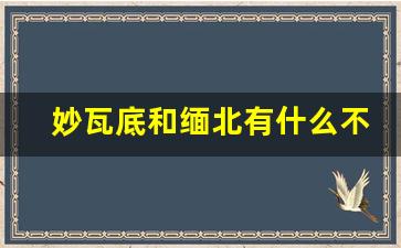 妙瓦底和缅北有什么不同