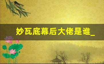 妙瓦底幕后大佬是谁_中泰缅联合军扫了妙瓦底