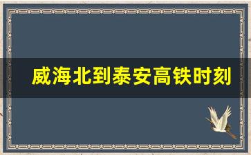 威海北到泰安高铁时刻表查询_威海到泰安高铁有几班