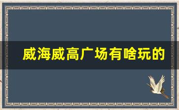 威海威高广场有啥玩的_威海市威高广场