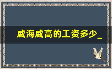 威海威高的工资多少_山东威海工资怎么样