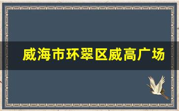 威海市环翠区威高广场_威海万达广场