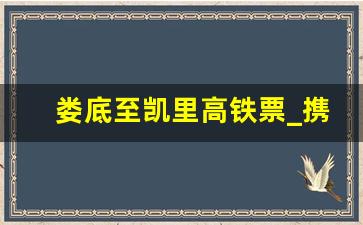 娄底至凯里高铁票_携程订火车票可以退吗