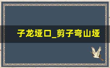 子龙垭口_剪子弯山垭口