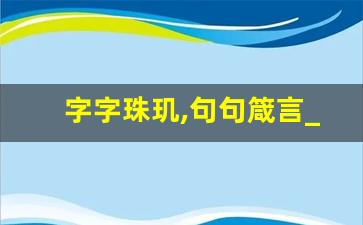 字字珠玑,句句箴言_字字珠玑的解释