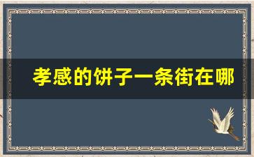 孝感的饼子一条街在哪里