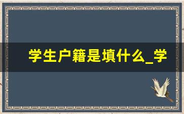 学生户籍是填什么_学生户籍号怎么填写