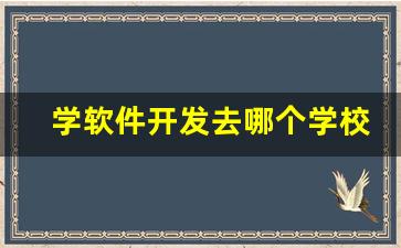 学软件开发去哪个学校_软件编程培训