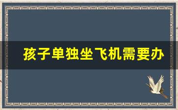 孩子单独坐飞机需要办理什么手续