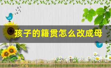 孩子的籍贯怎么改成母亲的_改随母籍贯要什么材料