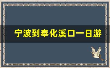 宁波到奉化溪口一日游