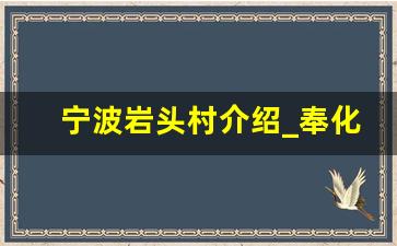 宁波岩头村介绍_奉化西岩村