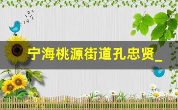 宁海桃源街道孔忠贤_宁海桃源街道钱岙上洋畈项目