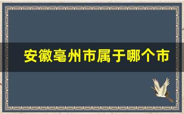 安徽亳州市属于哪个市