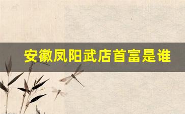 安徽凤阳武店首富是谁_凤阳县武店镇人口