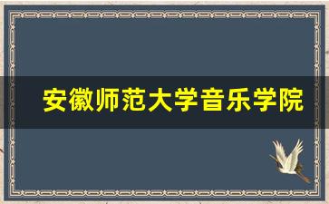 安徽师范大学音乐学院录取分数线_初中毕业可以考什么音乐学院