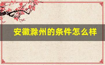 安徽滁州的条件怎么样_安徽滁州一年四季温度