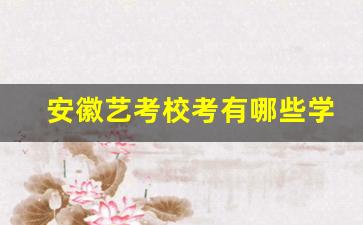 安徽艺考校考有哪些学校_安徽省艺术类一本院校有哪些