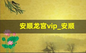 安顺龙宫vip_安顺到龙宫的车票时间