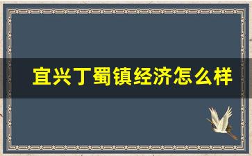 宜兴丁蜀镇经济怎么样_宜兴市张渚镇经济怎么样