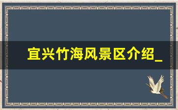 宜兴竹海风景区介绍_宜兴竹海有什么好玩的