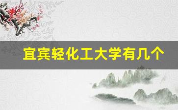 宜宾轻化工大学有几个校区_成都轻化工大学宜宾校区