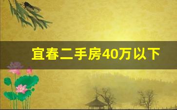 宜春二手房40万以下