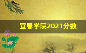 宜春学院2021分数线