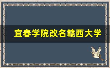 宜春学院改名赣西大学