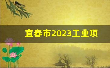 宜春市2023工业项目签约仪式