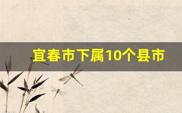 宜春市下属10个县市区_宜春最有钱的县