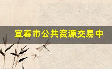 宜春市公共资源交易中心官网_广州公共资源交易中心网